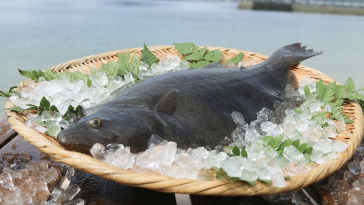 笠戸ひらめコンフィ 山口県 を通販でお取り寄せ 満天青空レストランで紹介 美食探求倶楽部